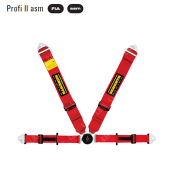 [슈로스]ProfiⅡasm
